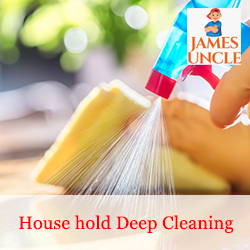 House hold Deep Cleaning Mr. Rajib Dey in Regent Park
